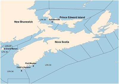 Differences in diversity and community composition of the shell microbiome of apparently healthy lobsters Homarus americanus across Atlantic Canada